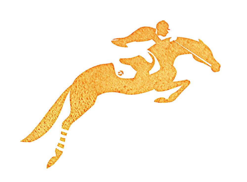 illustration marie laure manceaux cheval 7.jpg - Marie-Laure MANCEAUX | Virginie
